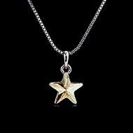 Picture of Star Modern Pendant Necklaces 2BL054318N