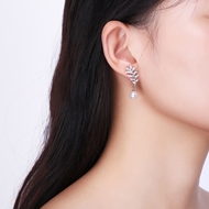 Picture of  Casual Medium Dangle Earrings 3LK054369E