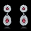 Show details for Luxury Cubic Zirconia Dangle Earrings 1JJ054507E