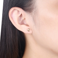 Picture of Casual Platinum Plated Stud Earrings Online Only