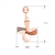 Picture of Recommended Rose Gold Plated Zinc Alloy Dangle Earrings from Top Designer