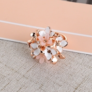 Show details for Low Cost Rose Gold Plated Casual Fashion Ring with Low Cost