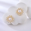 Show details for Zinc Alloy Classic Stud Earrings with Full Guarantee