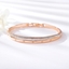 Show details for Zinc Alloy Classic Fashion Bangle with Full Guarantee