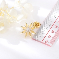 Picture of Delicate Gold Plated Brooche with SGS/ISO Certification