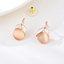 Show details for Zinc Alloy Classic Stud Earrings with Full Guarantee