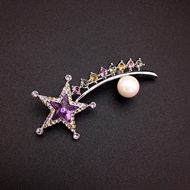 Show details for Fancy Medium Platinum Plated Brooche