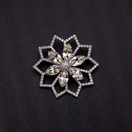 Show details for Irresistible White Platinum Plated Brooche from Editor Picks