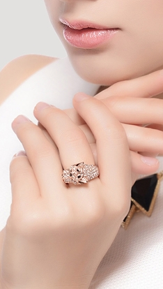 Picture for category Delicate CZ  Earrings & Rings